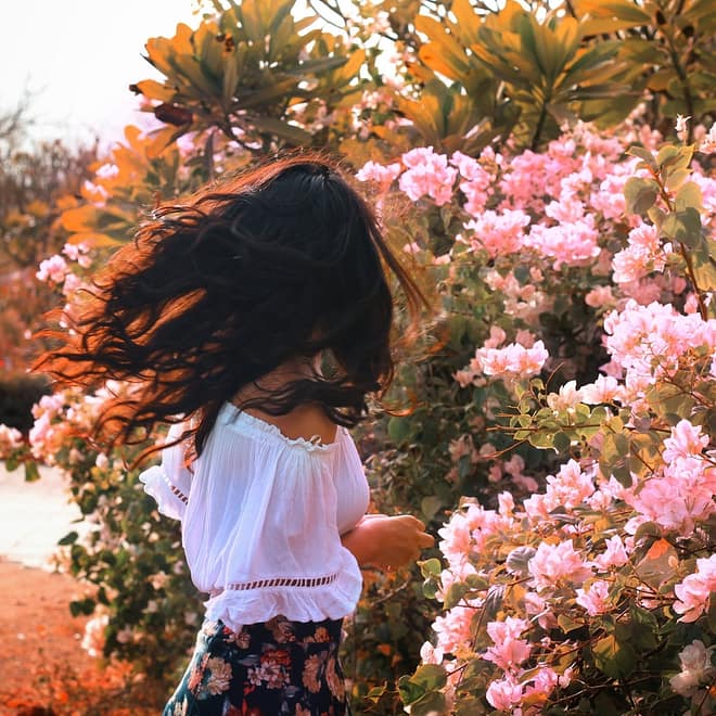 Dreamland